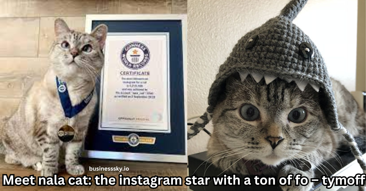 Meet nala cat: the instagram star with a ton of fo – tymoff